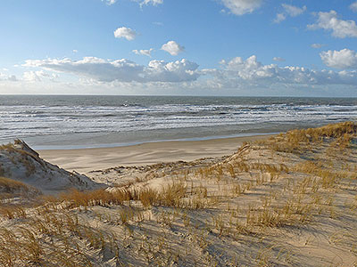 Die Dünen am Strand von Le Pin Sec