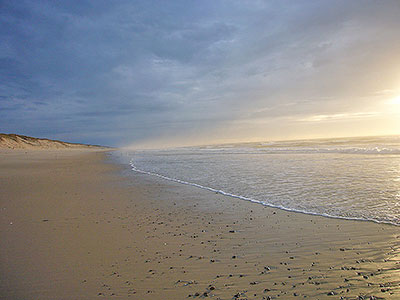 Die Dünen am Strand von Le Pin Sec